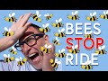 Which Disney Attraction Was SHUT DOWN By Bees? PLUS It Also Has A SECRET WALKWAY And A Hidden Donald