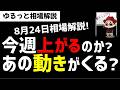 【8月24日ゆるっと相場解説】今週から上昇するのか？あの動きをふまえると…？ズボラ株投資