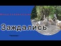 НАТАШ, РЫБОВ ДАВАЙ!
