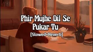 Phir Mujhe Dil Se Pukar Tu (Slowed Reverb) | Mohit Gaur