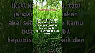 Motivasi Perjalanan Hidupinspiratif