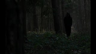 The Spirit - A Short Horror Film