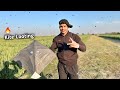 I am looted kites in ground  kite catching  kite vlog