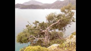 Bu Şehir Bana Hüzün...şiir...umut Ramazan Gümüş