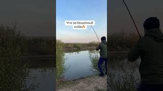 #врек #рыбалка2025 #врек #рек #репост #shortvideo #fishing #reels #shorts #shortsyoutube #казахстан