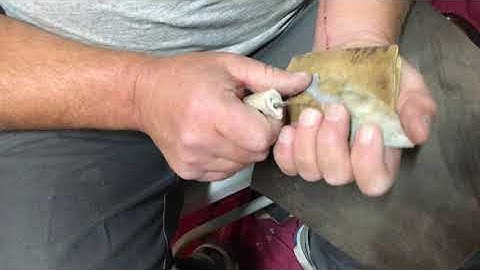 Flintknapping a Flint Ridge biface 5/6