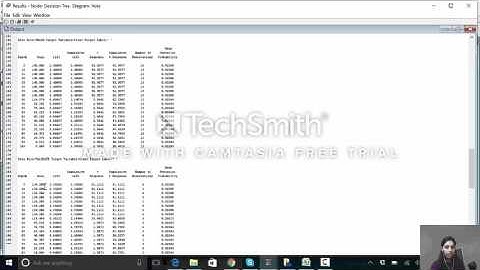 SAS Enterprise Miner