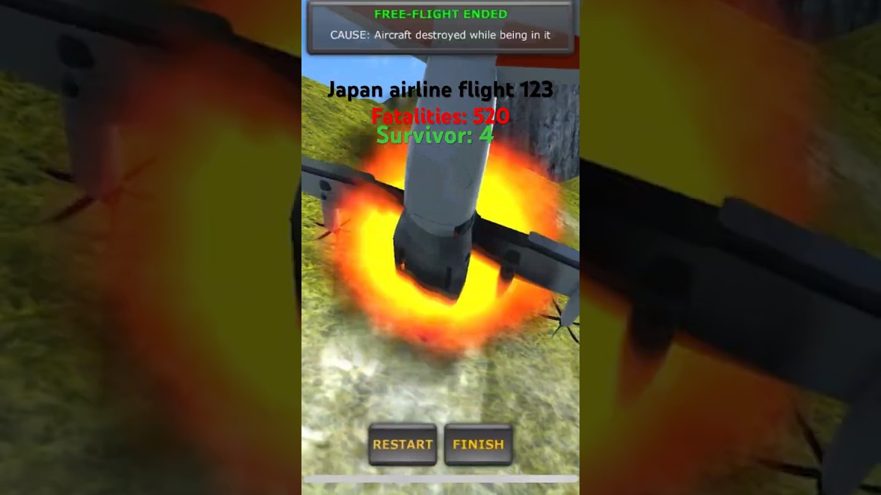 Japan airline flight 123