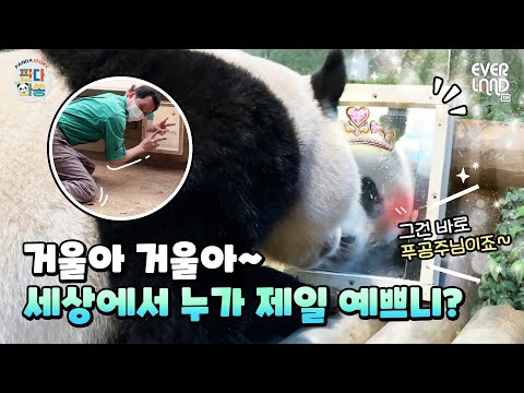 [ENG] 생애최초 자신의 모습을 본 푸바오 반응은?? | #판다와쏭 #63