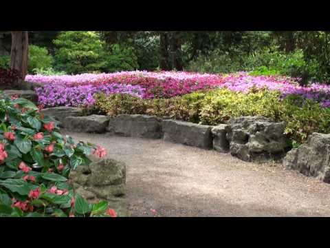 Best views of Rock Garden @ RBG (Royal Botanical Gardens in Burlington, ON)