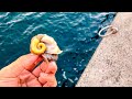 穴釣りよりもカサゴが釣れる方法を見つけました