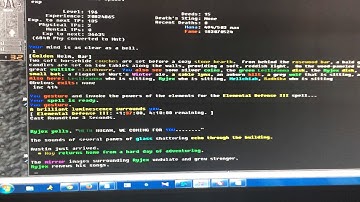 Stone Cold Shows Up In Gemstone IV