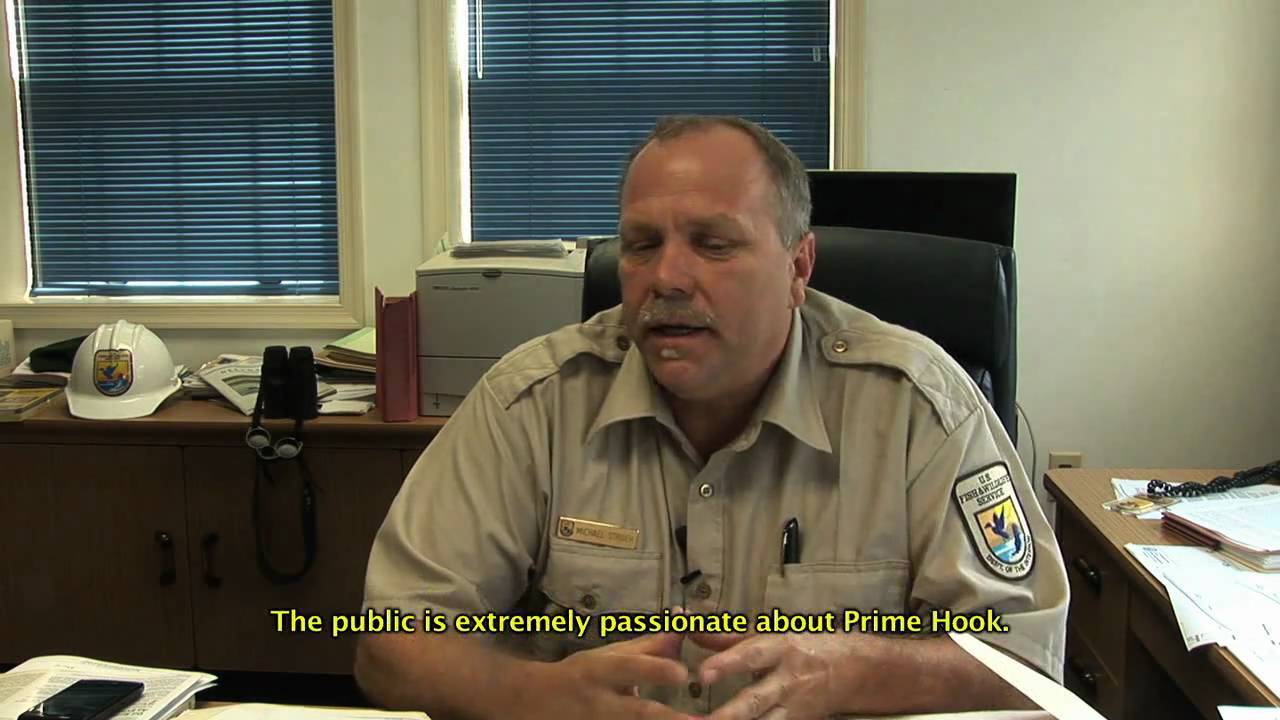 u.s. virgin islands Prime Hook National Wildlife Refuge Part 4: Draft Environmental Assessment for Dune Work