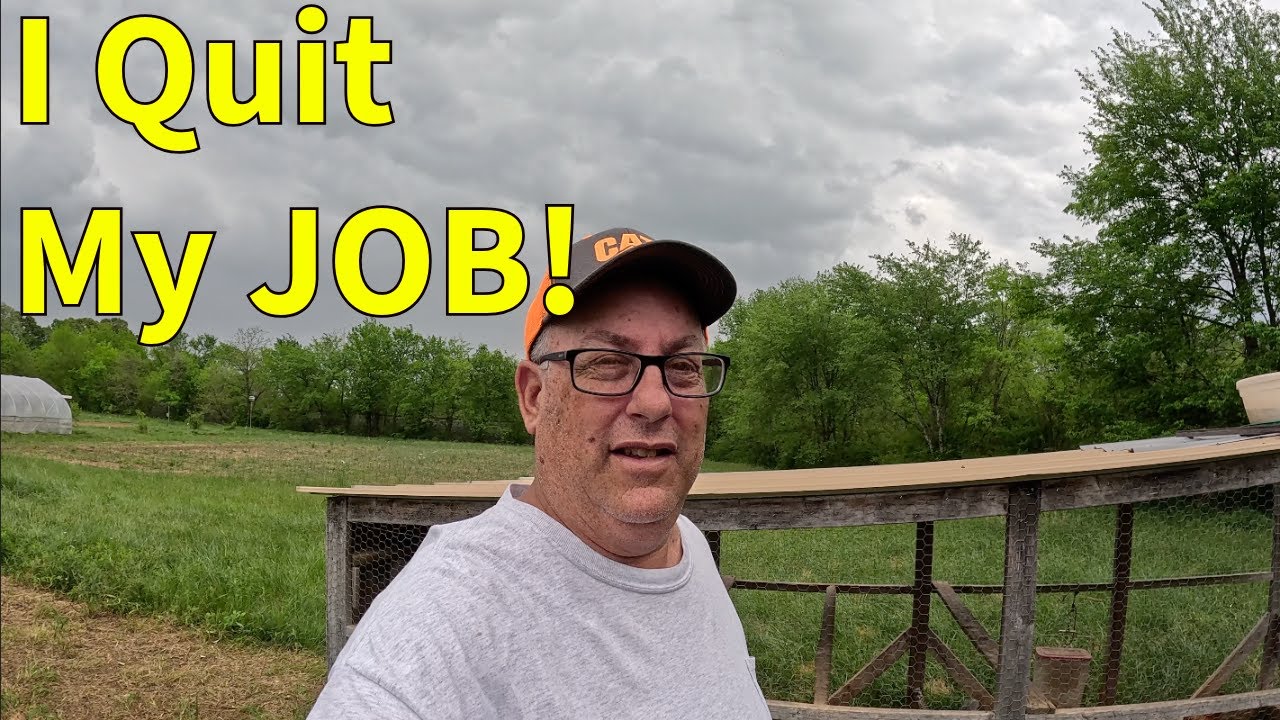 I Quit My Job to Become a Full-Time Homesteader - YouTube