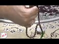 دعاء ي قرأ في السنة مره واحدة يبعد عنك البلاء استمع دعاء ي قرأ في السنة مره واحدة يبعد عنك البلاء استمع