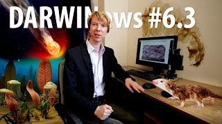 Эксперименты эволюции, невиновный метеорит, мимикрия привиденьевых #DARWINews 6.3