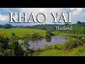 🔴 Discover Khao Yai EP. 2 : Jungle trekking & Birdwatching with 13 birds!| Nathalie’s World