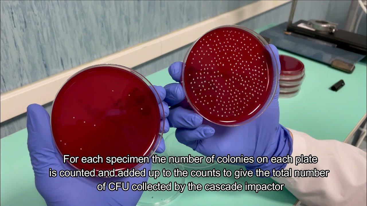 Bacterial Filtration Efficiency (BFE) test according to EN 14683 YouTube