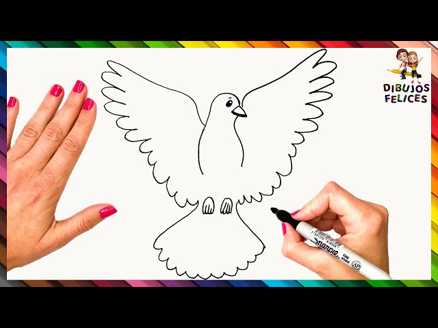 Cómo Dibujar Una Paloma 🕊️ Dibujo Fácil De Paloma Paso A Paso - YouTube c-mo-dibujar-una-paloma-dibujo-f-cil-de-paloma-paso-a-paso-youtube