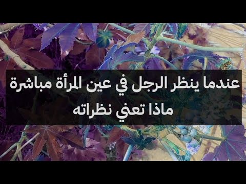 عندما ينظر الرجل في عيني المرأة مباشرة ماذا تعني نظراته