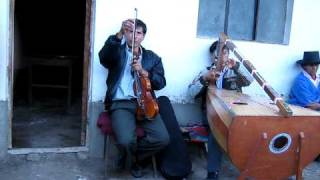 CUMPLEAÑOS CON ARPA Y VIOLIN