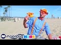 Blippi Learns Colors & Counting at The Beach | Kids Cartoons Nursery Rhymes | Moonbug Kids