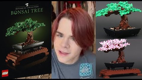 ASMR Lego Bonsai Tree