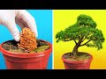 25 IDEAS INCREÍBLES PARA PLANTAR Y VOLVER MÁS VERDE A TU HOGAR