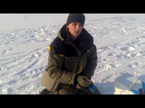 Официальна-тренировка-спортсменов-КОФРС-на-Чемпионате-Украины