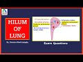 Hilum Of Lung Structures Passing Through Root Of Lung Lung Anatomy Simplified