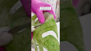 Realistic edible leaves tutorial #ad