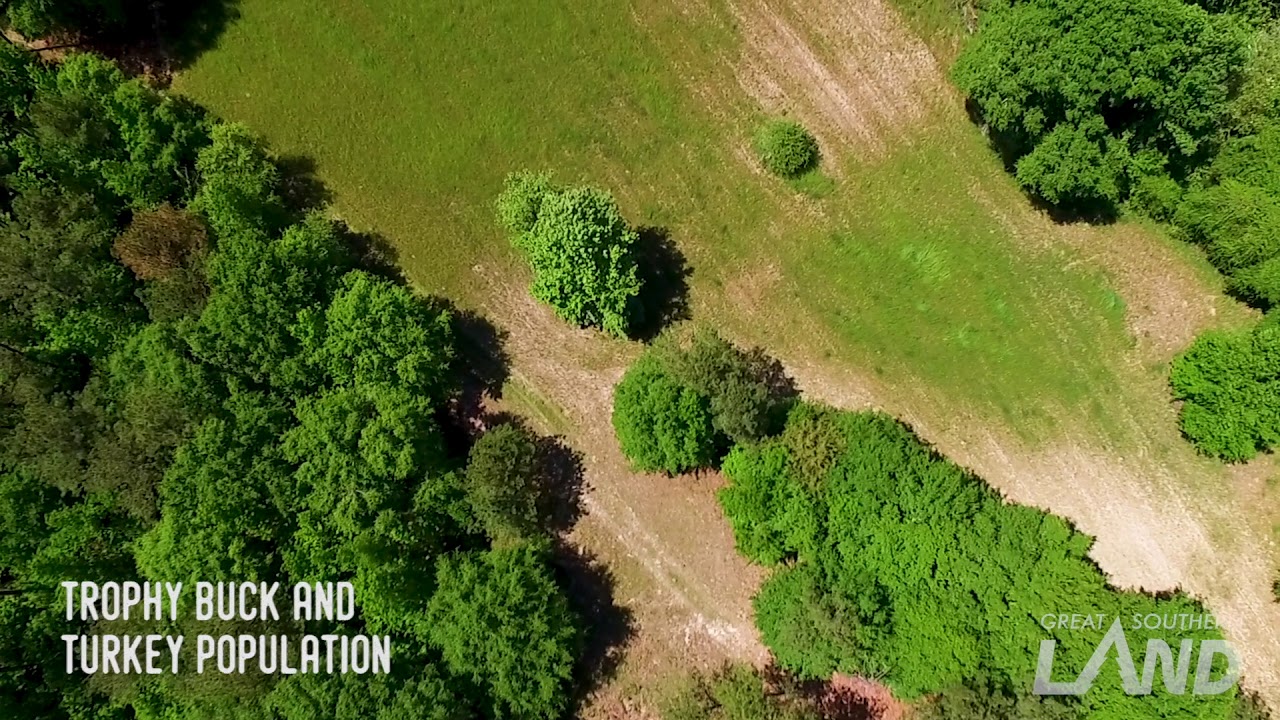 Little Indian Creek Plantation YouTube