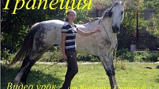 Видео урок - Трапеция Видео урок - Трапеция