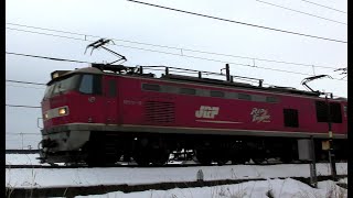 ﾚｯﾄﾞｻﾝﾀﾞ-EF510-12牽引高速貨物4075ﾚ百済→東青森【4K】