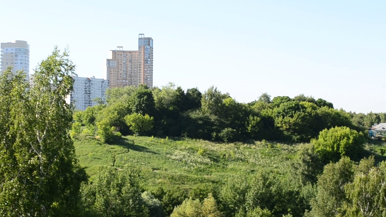 Погода в крылатском сегодня