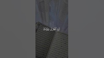 قران كريم القارئ الشيخ ماهر المعيقلي رب اغفر لي ولوالدي