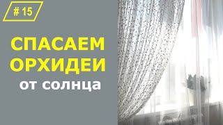 # 15 Самый простой и эстетичный способ притенения домашних орхидей от солнца  #УходЗаОрхидеями