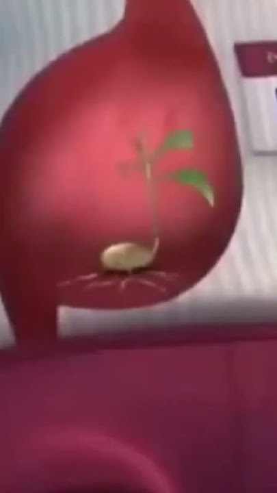 Ehsan tertelan biji rambutan