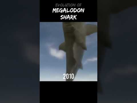 Evolution Of Megalodon Shark Shorts Evolution Badromance Megalodon