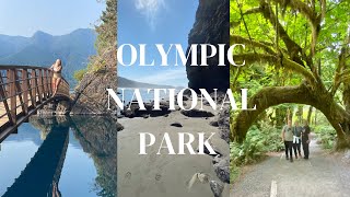 Olympic National Park 3 day trip ITINERARY: Hiking Lake Crescent, Hurricane Ridge, Hoh Rainforest
