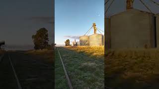 IRENE!#provinciadebuenosaires #viasdeltren#campoargentino #pueblosrurales