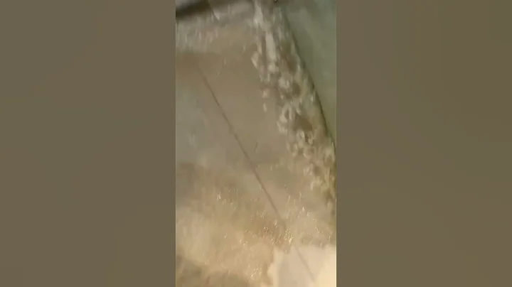 7.1河南項城突發特大暴雨，街道內澇嚴重，更有市民選擇划船出行 - 天天要聞