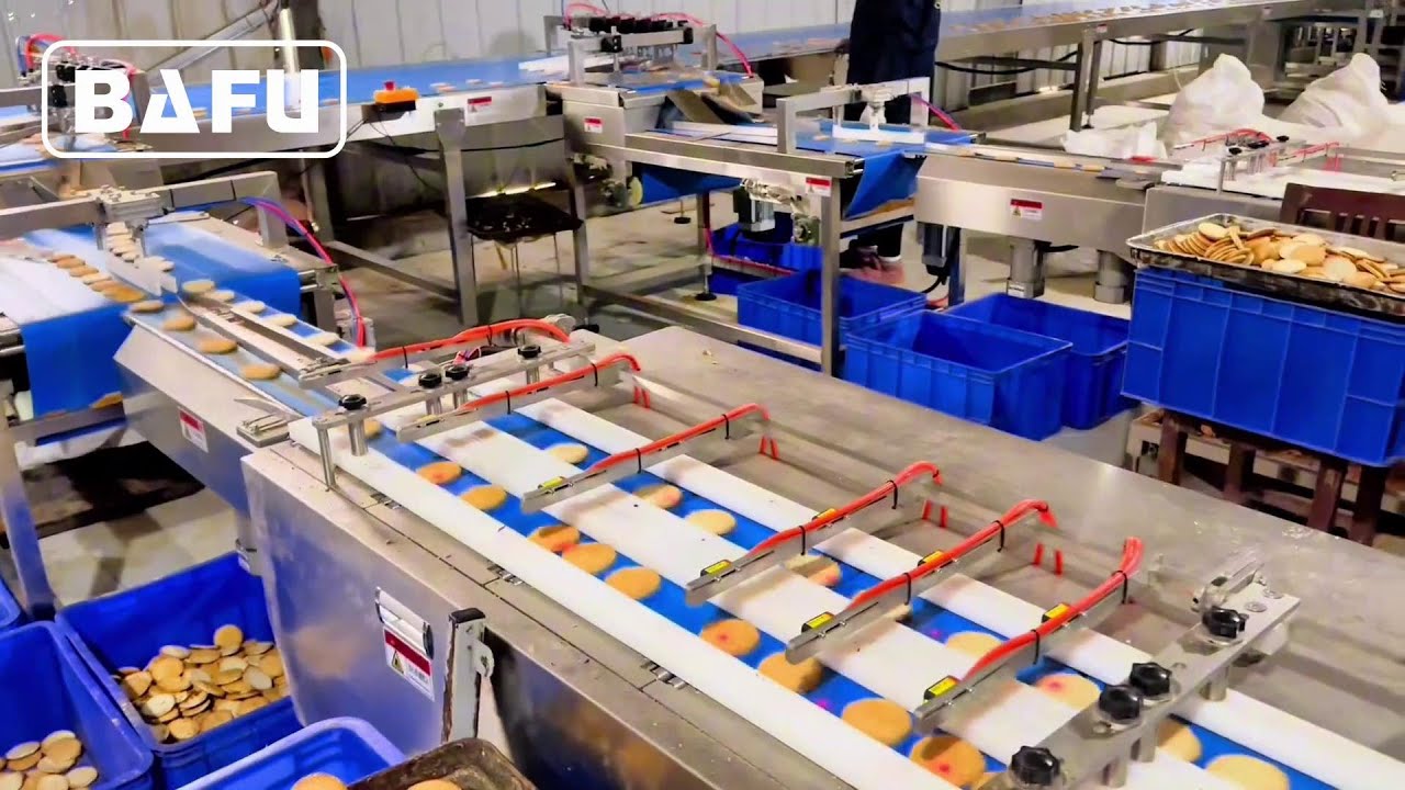 biscuit packaging machine,cookies packaging machine,cracker packaging machine,cake packaging machine