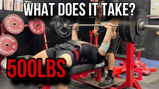 What Does it Take to Bench Press 500lbs?