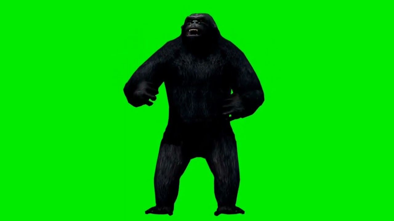 Gorilla Angry Green Screen || Chroma Key || Gorilla 🦍 Green Screen Background Video || गोरिल्ला