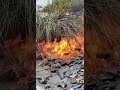 نار داخل الماء نار داخل الماء