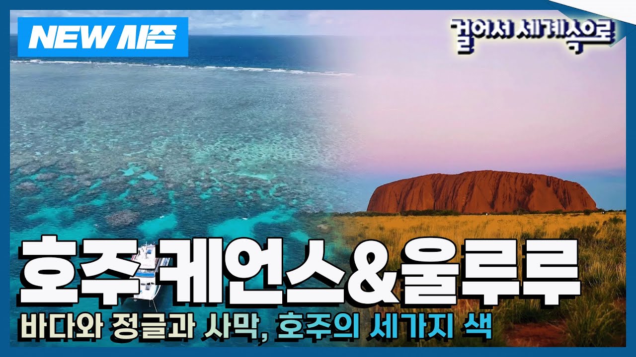 [✨NEW✨걸어서세계속으로📺] 광활한 대자연을 품은 나라 '호주 케언스&울루루' 여행 Trip to Australia (KBS_20240525)