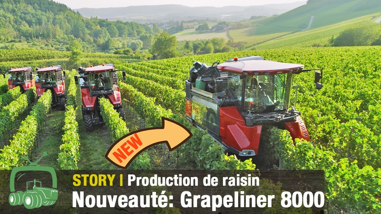 Viticulture: Au fil des saisons du domaine Franz | Nouveauté : ERO Grapeliner 8000 | Fendt 200 Vario