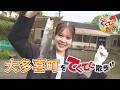 『市町村てくてく散歩』第183回「大多喜町」(2026.5.15放送)【チバテレ公式】