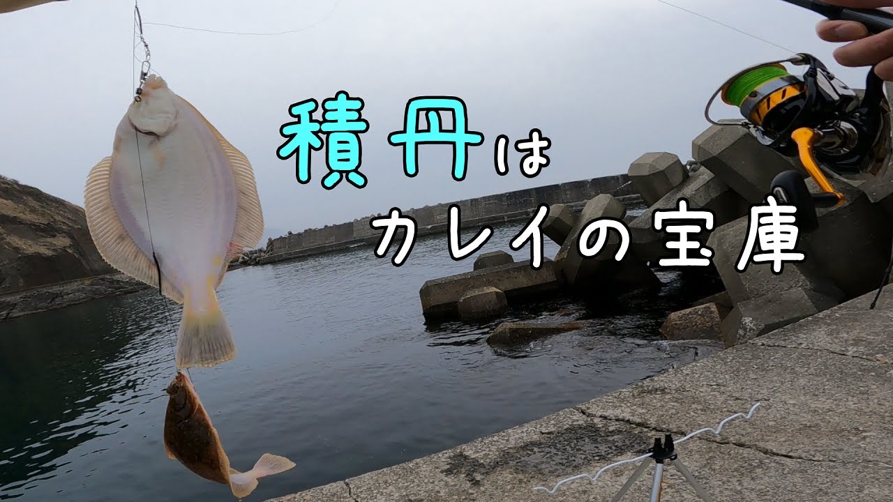 夕マズメにカレイ連発！日本海は眠らない